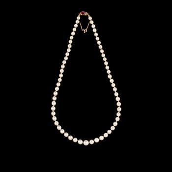 COLLIER, odlade pärlor med lås i 18k guld med otydliga svenska mästarstämplar.