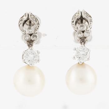 Earrings, W.A Bolin, a pair, 18K white gold with pearls and brilliant-cut diamonds.