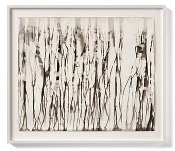 Iñaki Bonillas, "The Rain Came Last", 2013.
