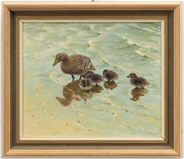 Thure Wallner, Mallard with ducklings at the water's edge.