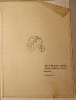 Hans Bergström, vägglampor 1 par, modell "C443", ateljé Lyktan, Åhus 1940-tal.