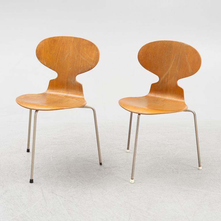 Arne Jacobsen, stolar, 6 st, "Myran", Fritz Hansen, Danmark, 1900-talets mitt.