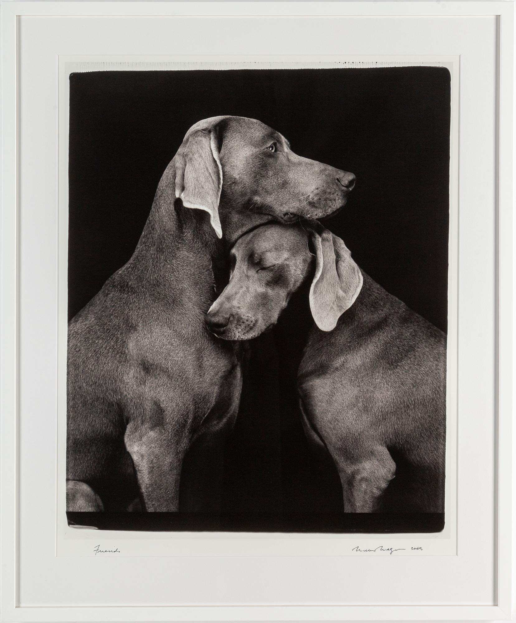WILLIAM WEGMAN, fotografi, signerat och daterat -09.