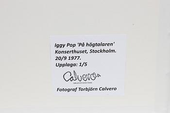 Torbjörn Calvero, "Iggy Pop", 1976.