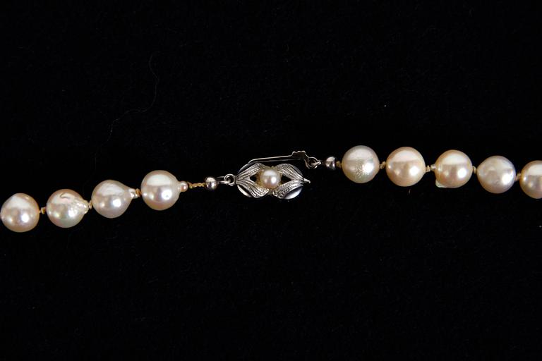 PÄRLCOLLIER med silverlås.
