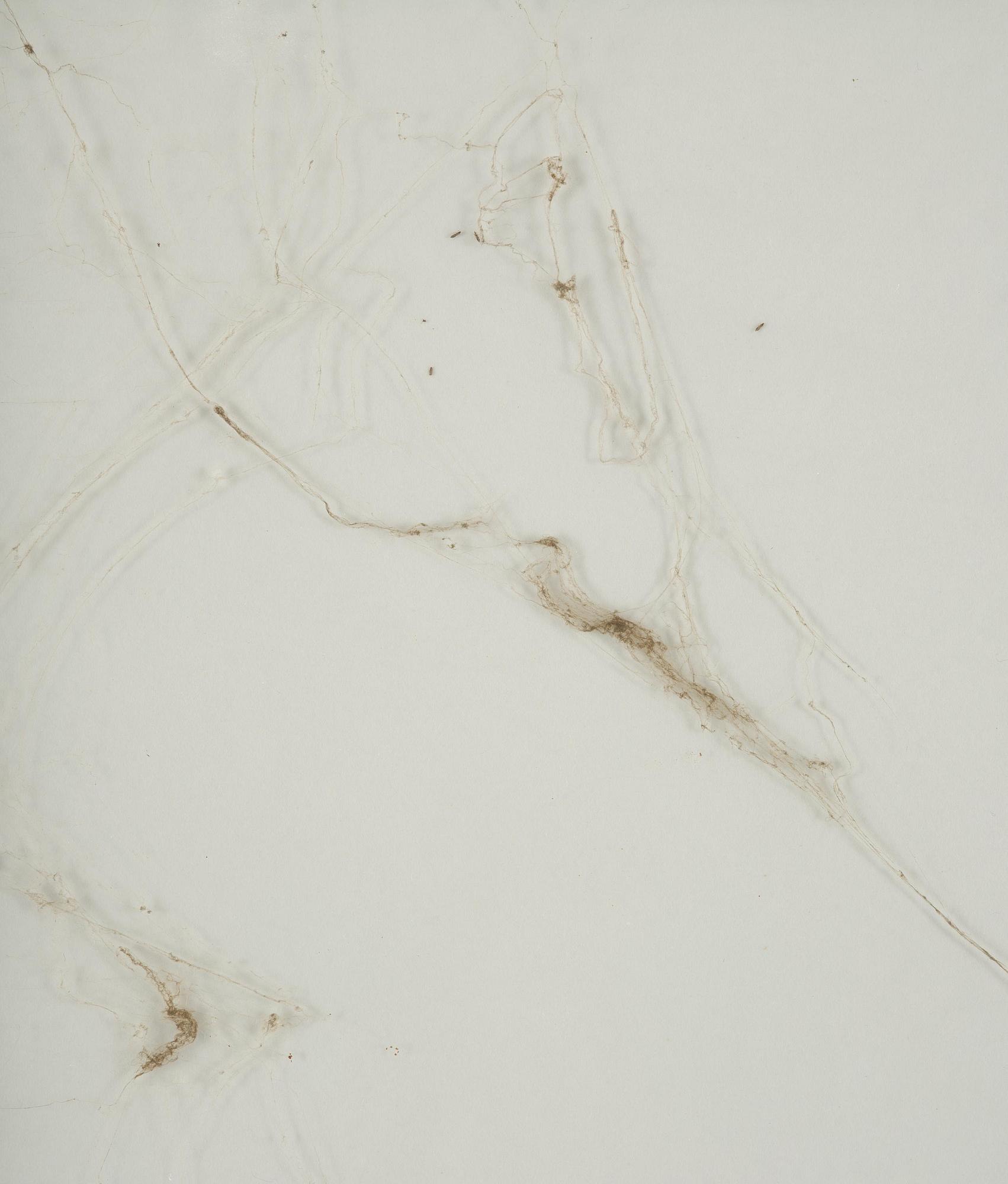 Hreinn Fridfinnsson, Untitled.