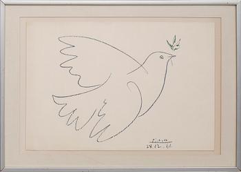 Pablo, After Picasso, Dove of Peace.