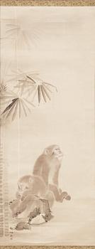 1451. Mori Sosen, A kakemono with two monkeys besides bambo, signed  Sosen and with two seals.