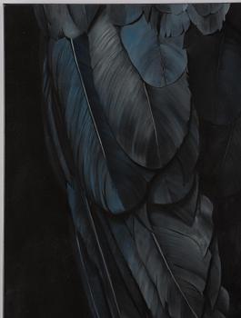 Markus Åkesson, "Ornithomancy".