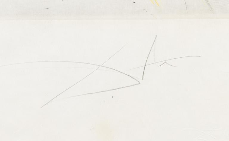SALVADOR DALÍ, käsinväritetty etsaus, signeerattu ja numeroitu XXXI/C.