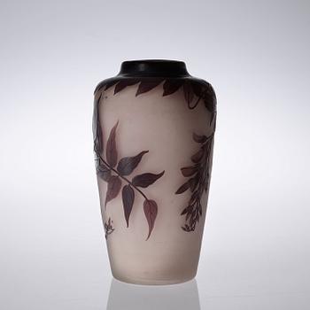 VAS, glas, Emile Gallé, Nancy, Frankrike, jugend.