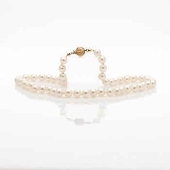 Necklace, with cultured pearls, clasp 18K gold.