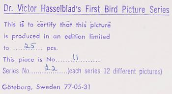 VICTOR HASSELBLAD, fotografier, 12 st, signerade, daterade och numrerade, ur serien nr 22.