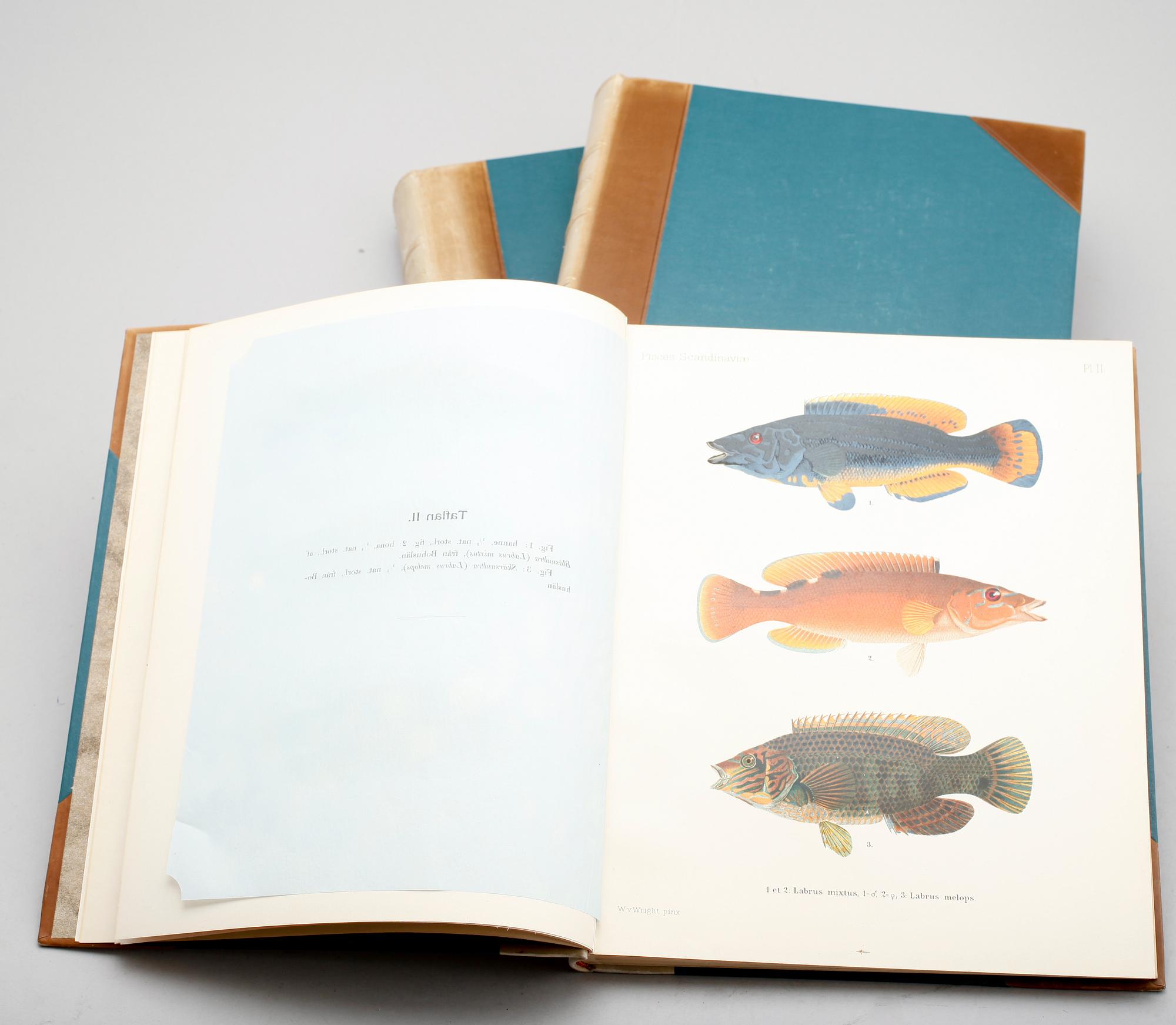BÖCKER, 3 vol, "Skandinaviens Fiskar", av FA Smitt, illustrerad av W von Wright, andra upplagan, 1895.