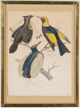 LITOGRAFISKA TRYCK, 4 st,handkolorerade, bl.a. Frankrike och Stuttgart, Tyskland, 1900-talets första hälft.