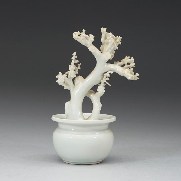 A blanc de chine miniature garden pot with a plant, Qing dynasty (1664-1912).