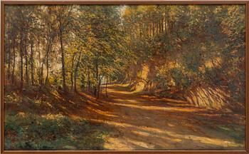 Franz Hinterholzer, Sunlit forest path.