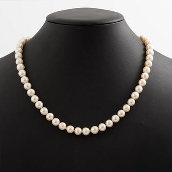 Necklace of cultured pearls with a cultured mabé pearl clasp in 18K gold.