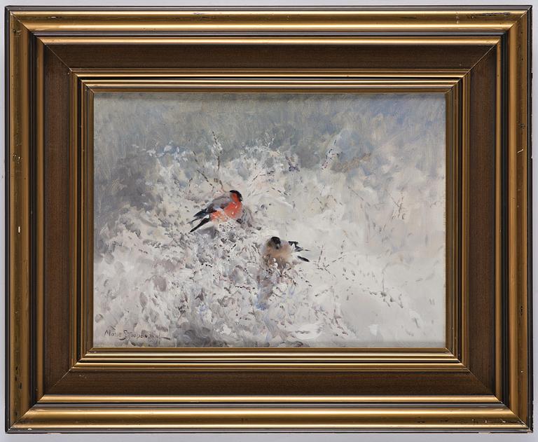Mosse Stoopendaal, Bullfinches in a winter landscape.