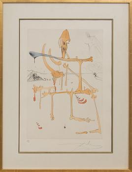 SALVADOR DALÍ, 6 st, "Quevedos Visioner", torrnålsgravyrer, numrerade 142/300.