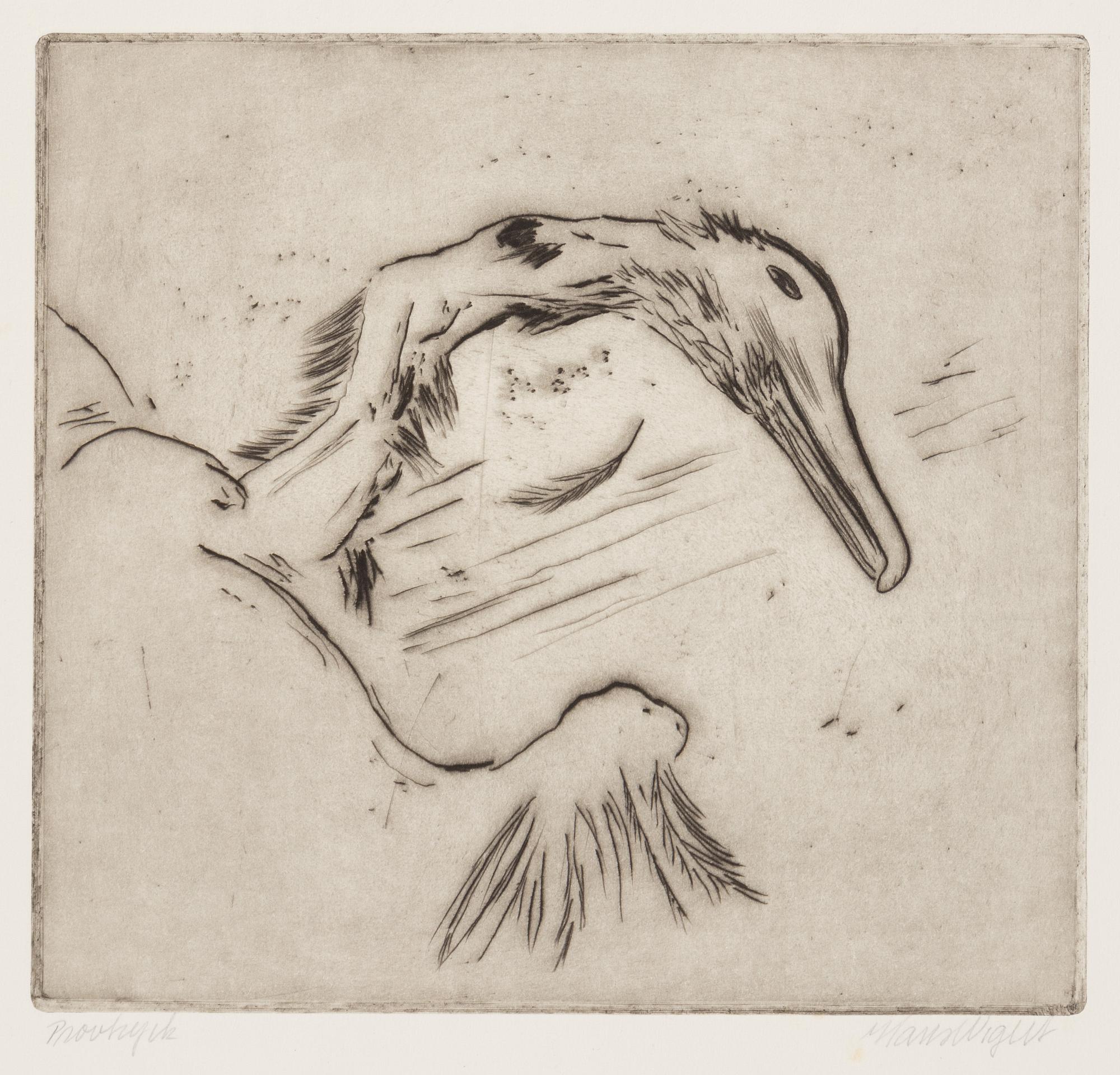 Hans Wigert, "Oljedöd svan".