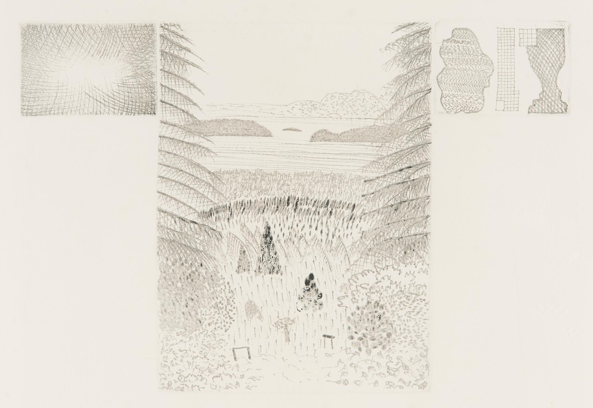 Oiva Toikka, En skiss av landskapet.