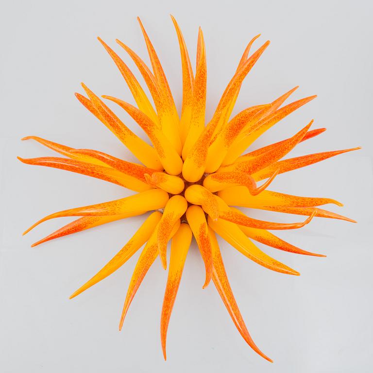 Jonas Rooth, 'Agave'.