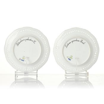 A set of 12 Royal Copenhagen 'Flora Danica' lunch plates, Denmark, 1889-1922.