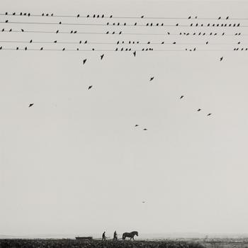 Pentti Sammallahti, "Krakova, Puola, 2005".