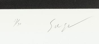 Hiroshi Sugimoto, ”Mathematical Form: Surface 0004”.