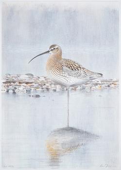 Lars Jonsson, portfolio "Strandspeglingar" with 5 lithographs in colour, signed EA XIV/XL.