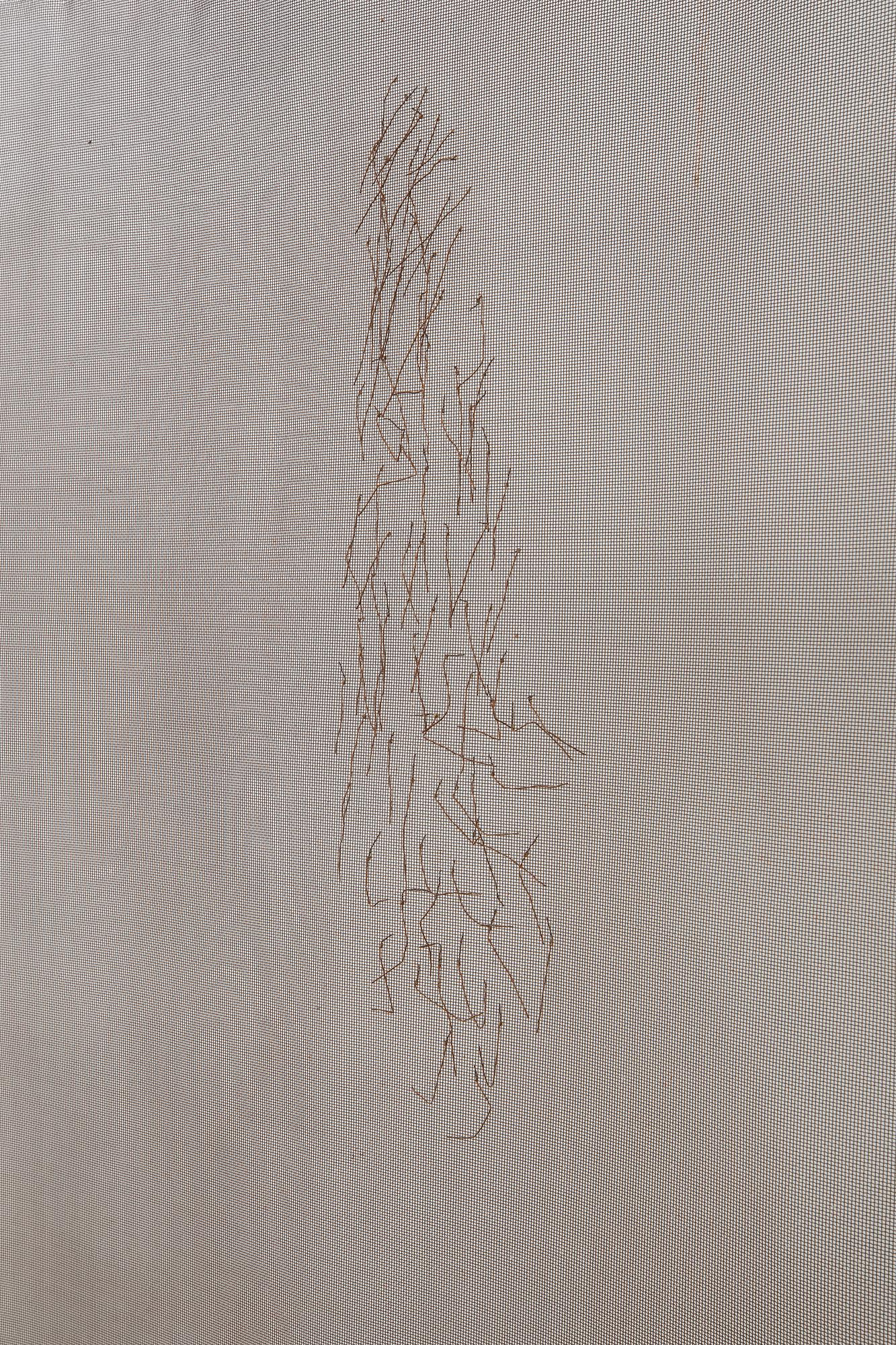 Barbro Bäckström, Untitled.