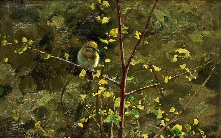 Thure Wallner, "Lövsångare i vårsol" (Willow warbler in spring sun).