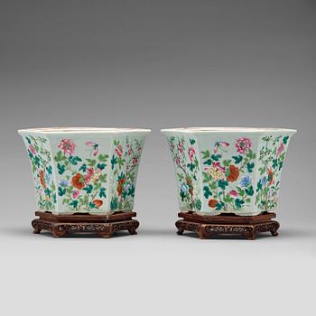 A pair of famille rose flower pots, Qing dynasty, 19th Century.