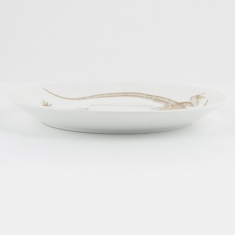 Paul Hoff, tallrikar, 22 st, porslin, "Arter i fara", Gustavsberg/Rörstrand.