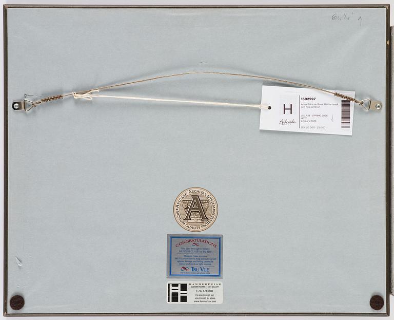 Anna Palm de Rosa, Vy mot Riddarhuset.