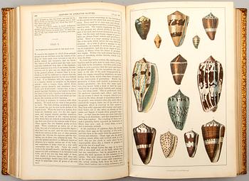 OLIVER GOLDSMITH 'A History of The Earth and Animated Nature' I-II, hand colored plates, c 1870.