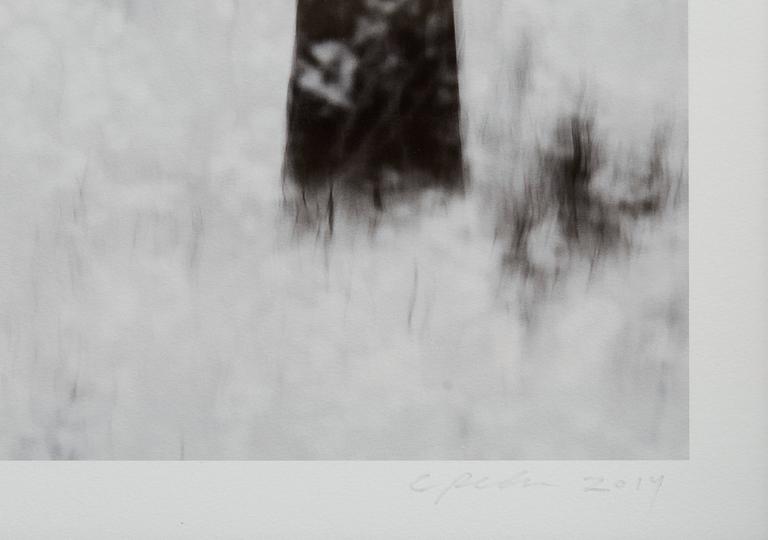 Christoffer Relander, "SNOWSTORM IN DRAGSVIK".