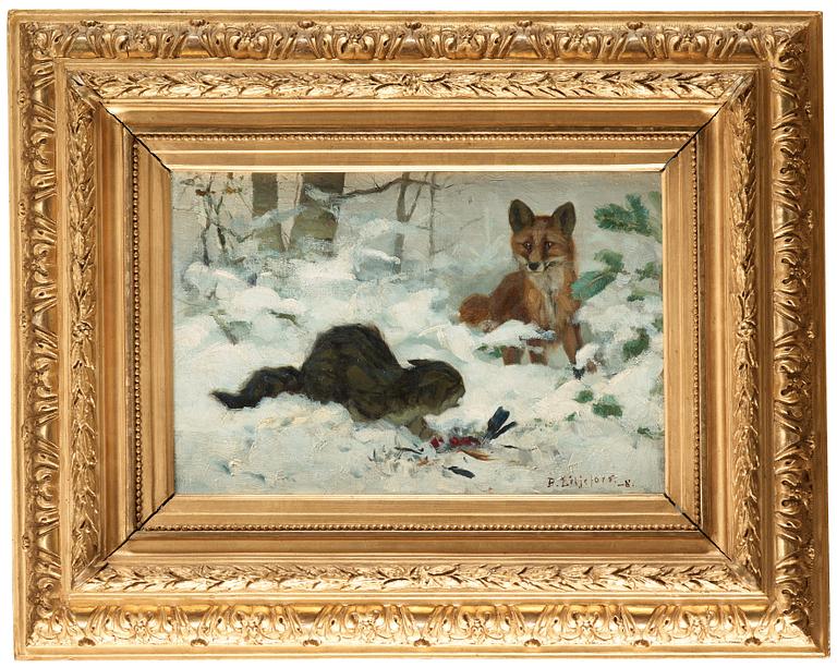 Bruno Liljefors, Hunting cat surprised by a fox.