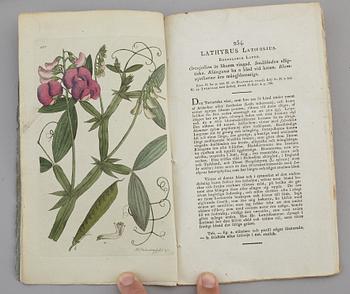 JOHAN WILHELM PALMSTRUCH, "Svensk Botanik, vol I-V. 1803-1805.