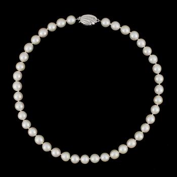 COLLIER, odlade pärlor, lås 18k vitguld.