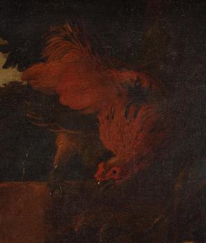 Melchior de Hondecoeter, efter, Hönsfåglar.