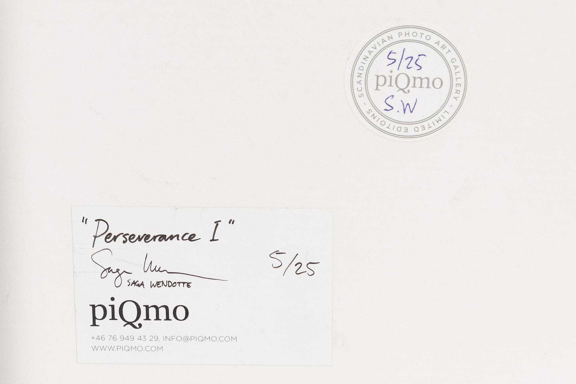 Saga Wendotte, "Perseverence I".