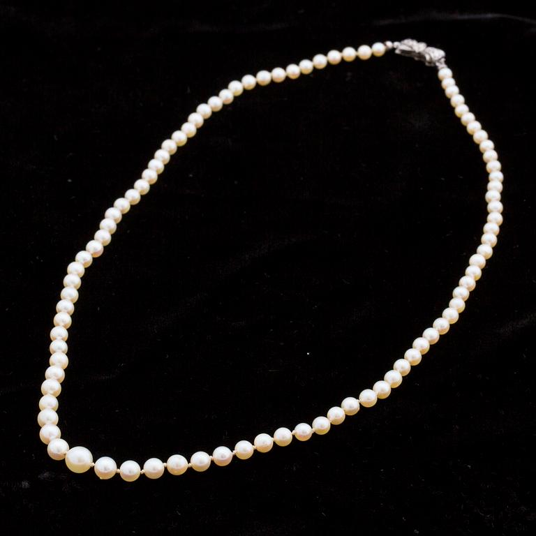 Collier with cultured akoya pearls, silver clasp.