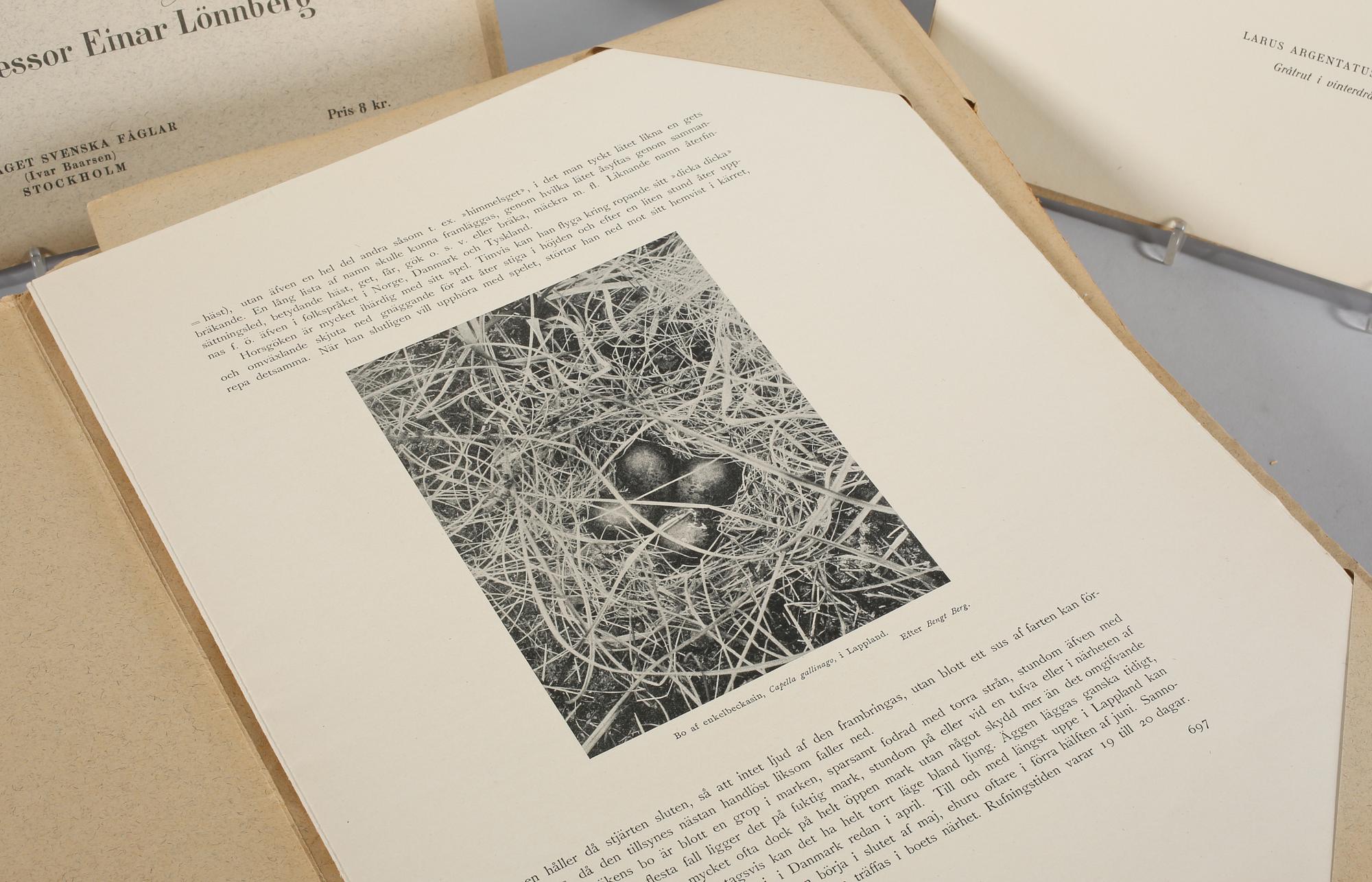 MAGNUS & WILHELM VON WRIGHT, 119 st, litografiska tryck ur "Svenska fåglar", 1900-talets första hälft.