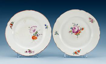 A pair of dinner plates, Imperial porcelain manufactory, St Petersburg, perod of Paul Ist (1796-1801).