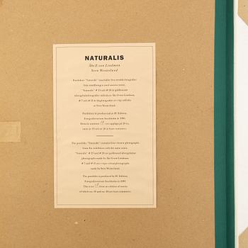 Åke E:son Lindman & Sven Westerlund, portfolio, 2 + 2 photos, signed 18/20.