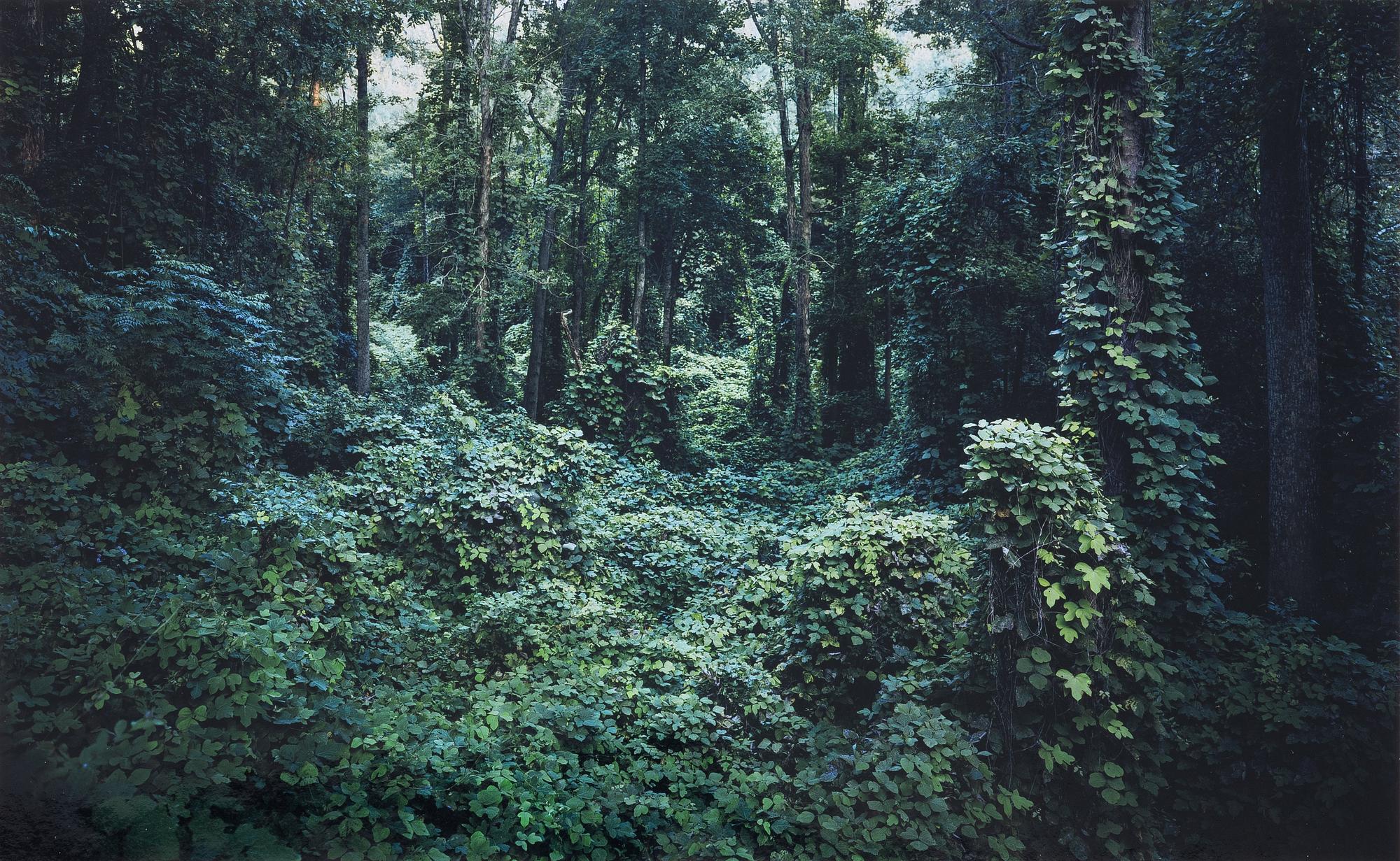 Helene Schmitz, Utan titel.