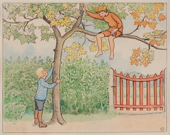 756. Elsa Beskow, Lasse throwing a ball to Prince September in the maple tree.
