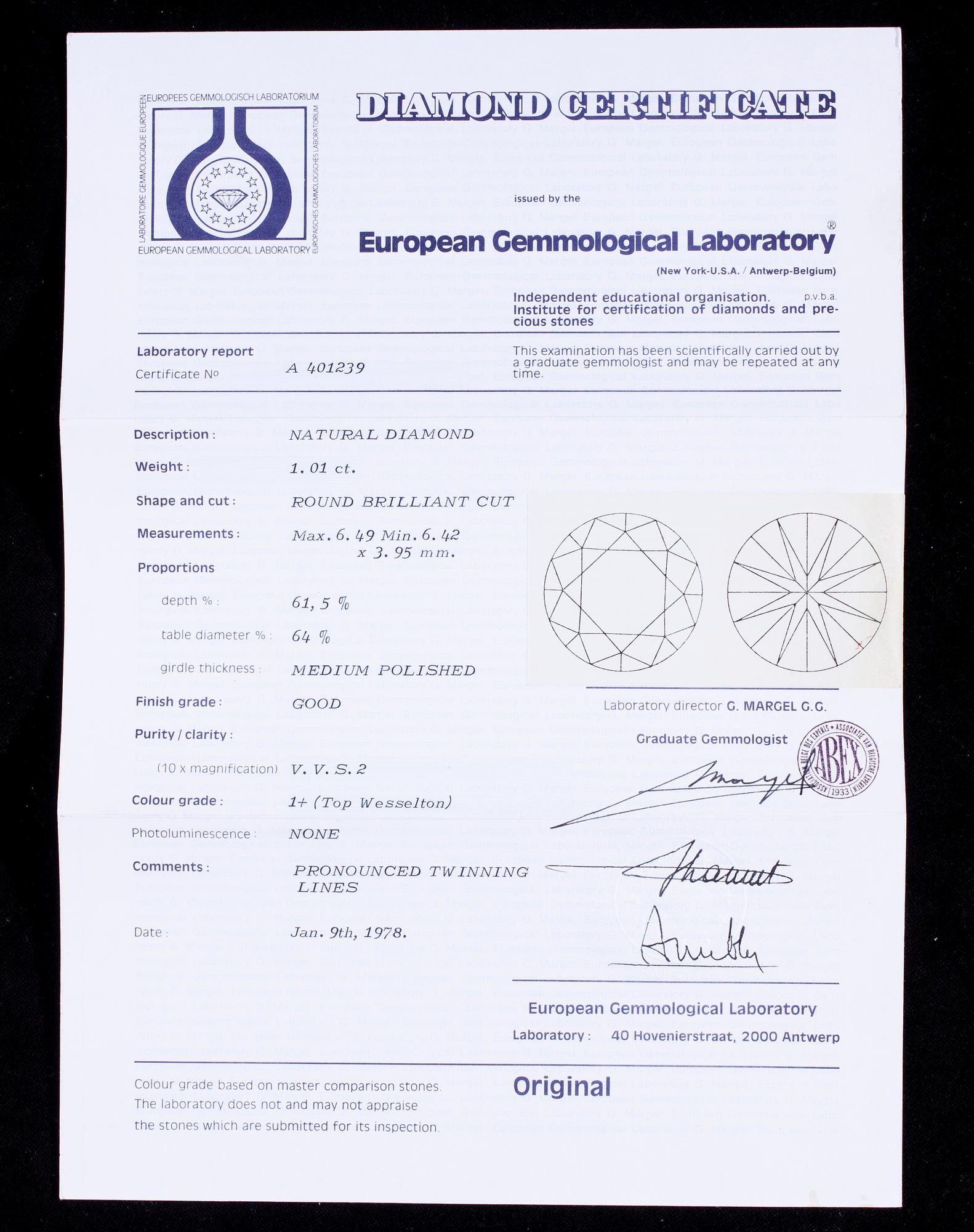 DIAMANT, briljantslipad 1,01 ct E-F (TW) / VVS2.